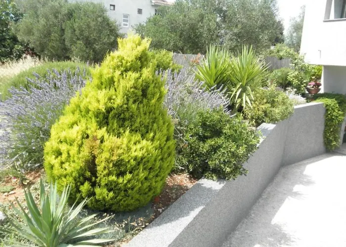 Dora 2 Appartement Bibinje