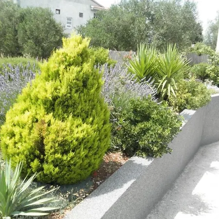 Fuzu Apartment Bibinje